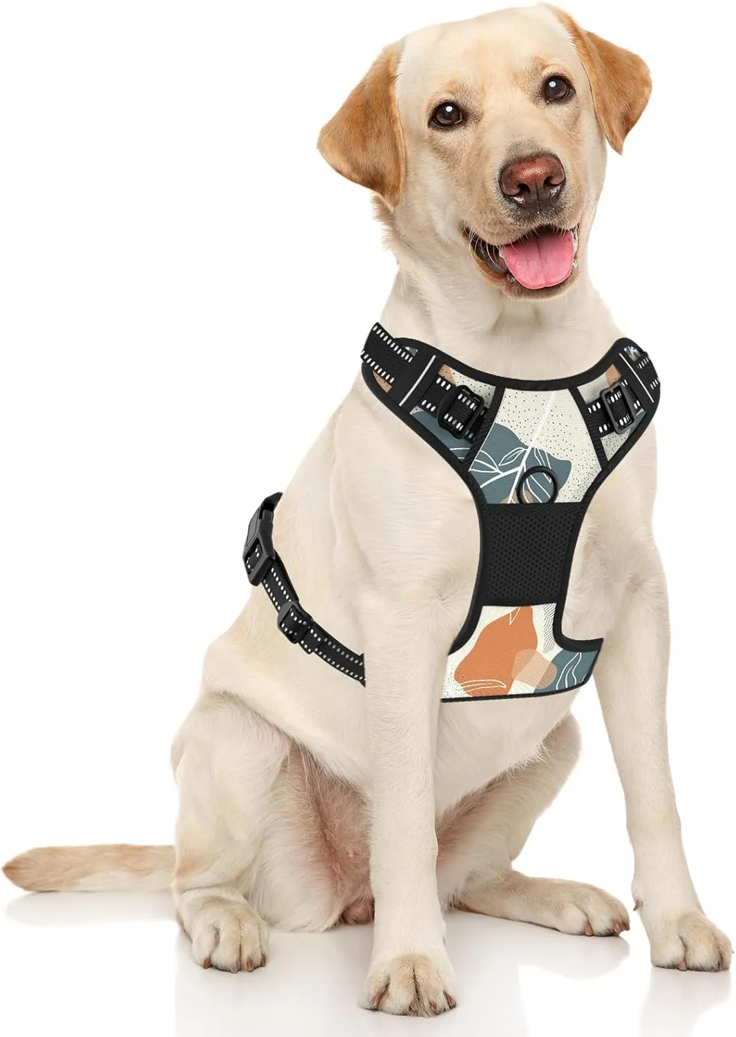 Rnivvi No Pull Dog Harness, Cute Boho Reflective Medium Sized Puppy Kitten Harness, Adjustable Soft Padded Vest for Medium Dogs, Heavy Duty Pet Vest with Easy Control Handle for Walking, Leaves